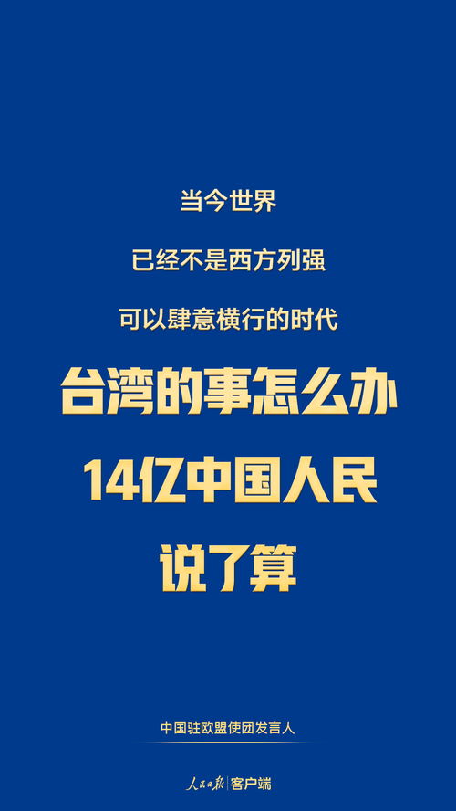 十四億人民的心聲 臺(tái)灣問題必須由全體中國人民共同決定